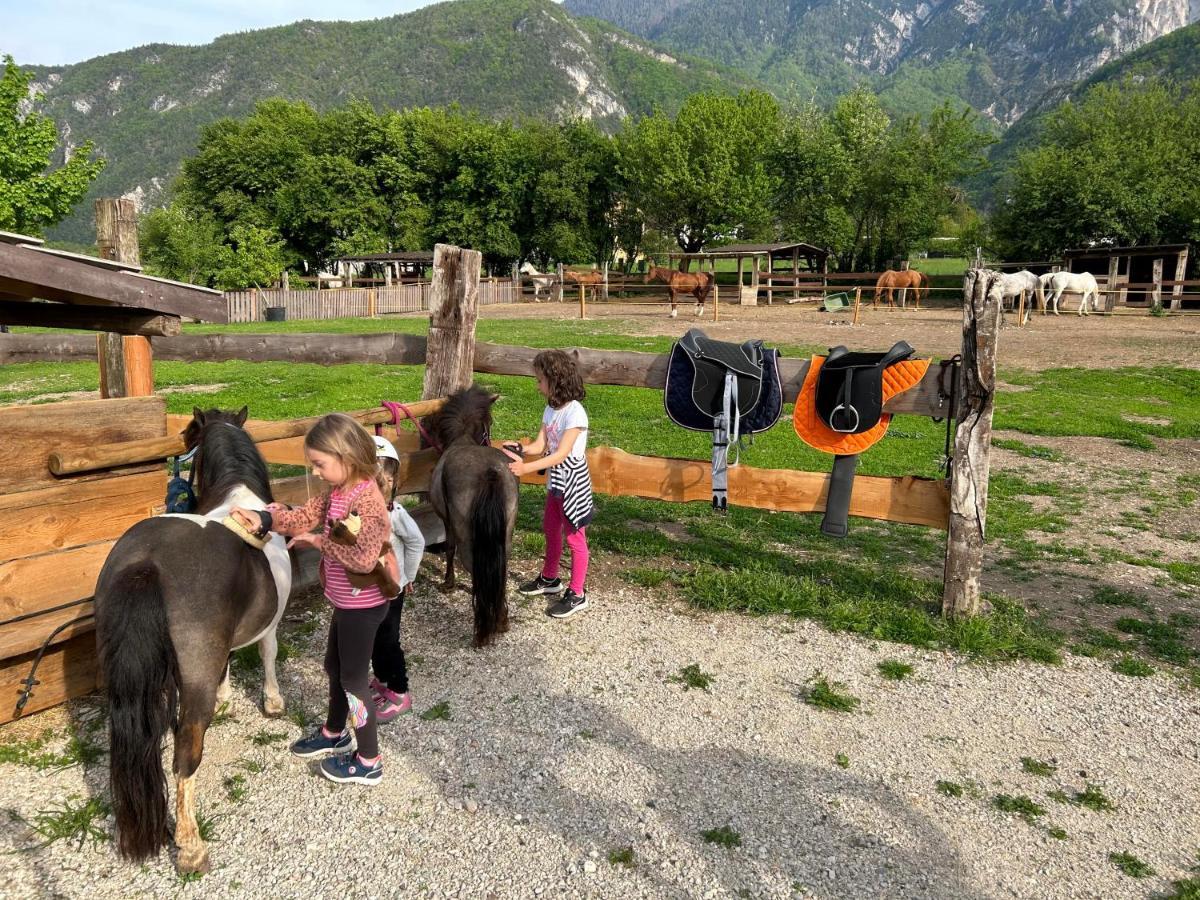 ليفيكو ترمي Agritur Airone Bed & Camping المظهر الخارجي الصورة