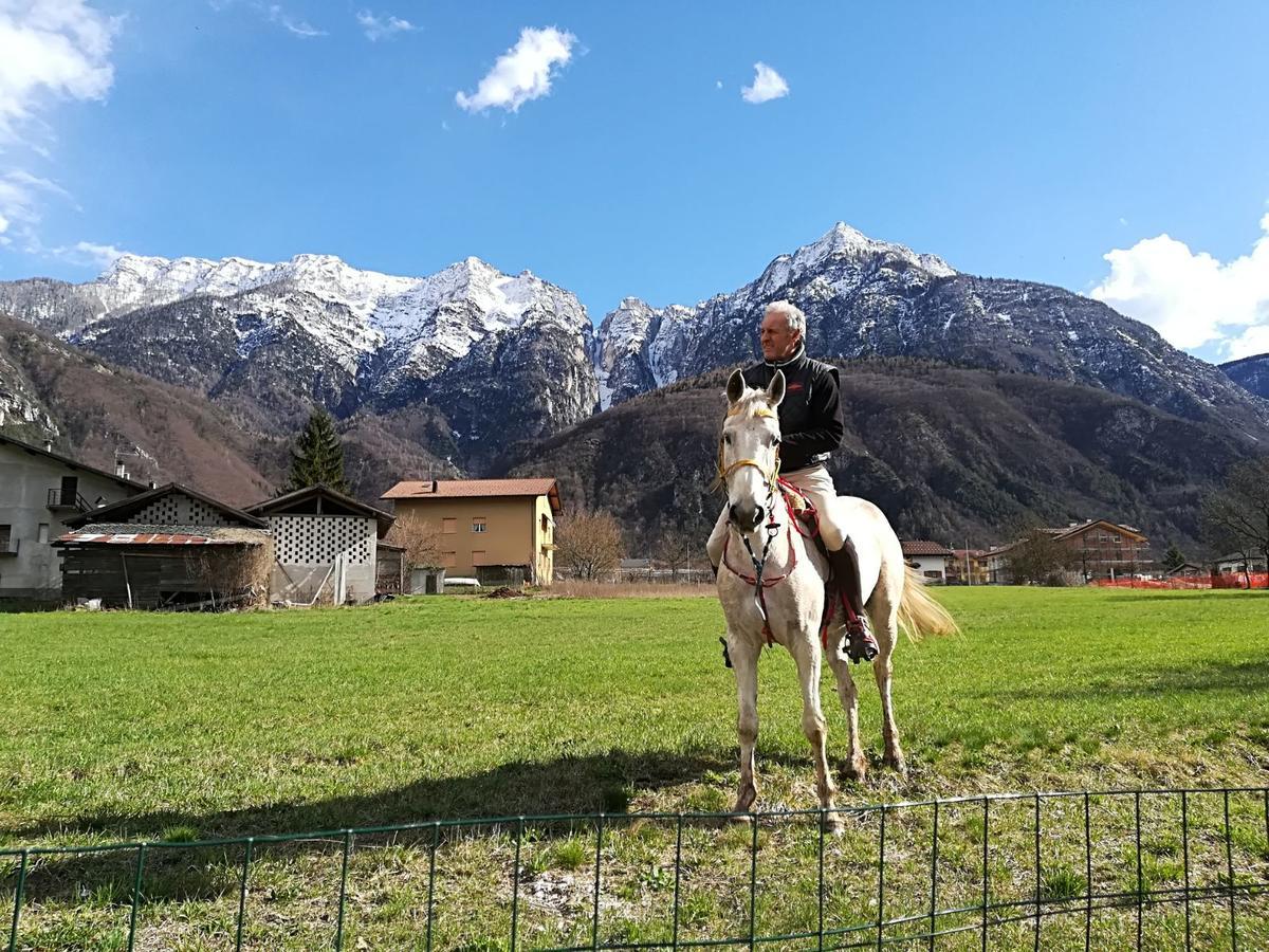 ليفيكو ترمي Agritur Airone Bed & Camping المظهر الخارجي الصورة